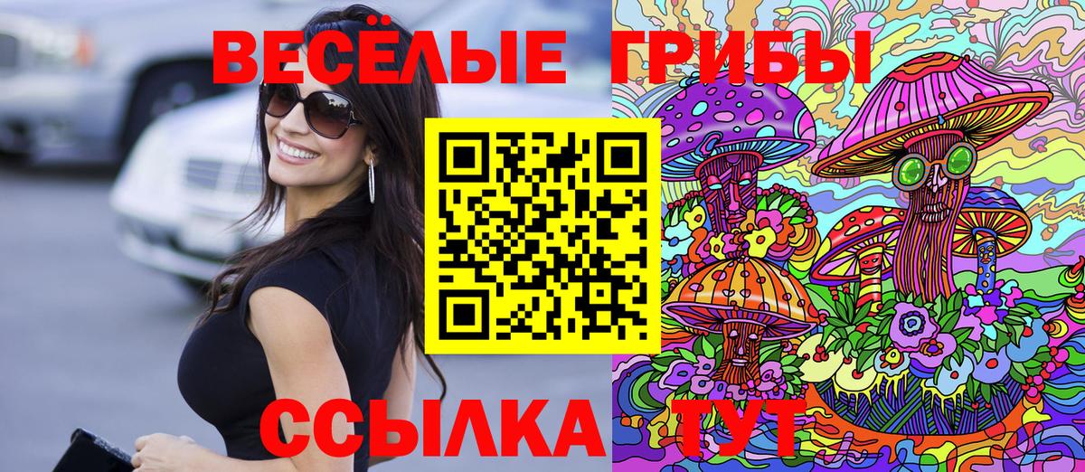 Хасавюрт  Галлюциногенные грибы GOLDEN TEACHER  Вход с VPN 